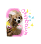 吉岡レオちゃん2（個別スタンプ：6）