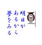 ふくろうの道しるべ（個別スタンプ：5）
