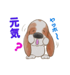 バセットハウンド(犬) 36（個別スタンプ：19）