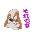 バセットハウンド(犬) 36（個別スタンプ：20）