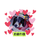 ぬっくり（個別スタンプ：4）