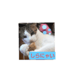 ぬっくり（個別スタンプ：7）