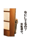 虎太朗 第3弾（個別スタンプ：23）