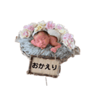 リオリリ2（個別スタンプ：12）