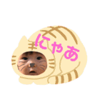 うりゅう3兄弟（個別スタンプ：29）