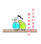 インコのアミちゃんと聖ちゃん。（個別スタンプ：35）