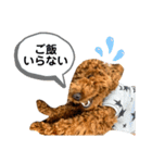 かわええ！ろこちゃん！（個別スタンプ：3）