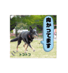 りんりんりんご♪（個別スタンプ：3）