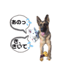 りんりんりんご♪（個別スタンプ：5）