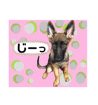 りんりんりんご♪（個別スタンプ：11）