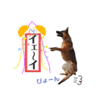 りんりんりんご♪（個別スタンプ：13）