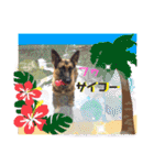 りんりんりんご♪（個別スタンプ：17）