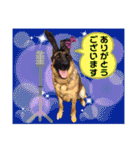 りんりんりんご♪（個別スタンプ：28）