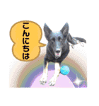 りんりんりんご♪（個別スタンプ：29）