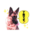りんりんりんご♪（個別スタンプ：31）