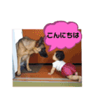 りんりんりんご♪（個別スタンプ：32）