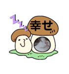 武居familiar11（個別スタンプ：7）