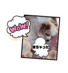 武居familiar11（個別スタンプ：8）