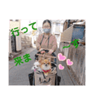 武居familiar11（個別スタンプ：21）