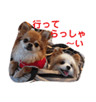 武居familiar11（個別スタンプ：30）