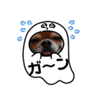 武居familiar11（個別スタンプ：32）