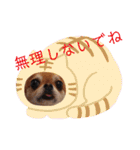 武居familiar11（個別スタンプ：36）