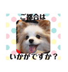 武居familiar11（個別スタンプ：40）