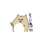 Concept hamster（個別スタンプ：13）