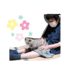 猫の福丸 -ふくまる-（個別スタンプ：17）