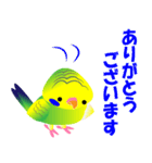 セキセイインコ ノーマルカラー（個別スタンプ：21）