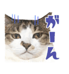 ジジwithトド＆チャッピー（個別スタンプ：18）