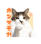 ジジwithトド＆チャッピー（個別スタンプ：20）