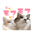ジジwithトド＆チャッピー（個別スタンプ：26）