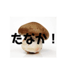 たなかはじめスタンプ（個別スタンプ：5）
