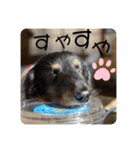 くうちゃん☆part2（個別スタンプ：6）