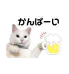 ちびたちゃんスタンプ（個別スタンプ：3）
