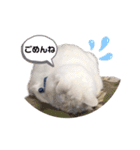ちびたちゃんスタンプ（個別スタンプ：8）
