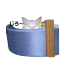 ちびたちゃんスタンプ（個別スタンプ：24）