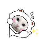 ちびたちゃんスタンプ（個別スタンプ：39）