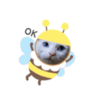 ちびたちゃんスタンプ（個別スタンプ：40）