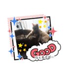 LINEスタンプで聞くやつ（個別スタンプ：1）