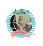 LINEスタンプで聞くやつ（個別スタンプ：4）