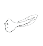 Jelly (ゼリー)（個別スタンプ：5）