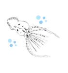 Jelly (ゼリー)（個別スタンプ：12）