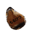 ミケミルの日常（個別スタンプ：7）