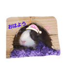 ミケミルの日常（個別スタンプ：8）