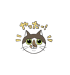 うちのねこ達①（個別スタンプ：33）