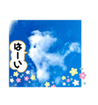 タロの雲12（プリティ編1）（個別スタンプ：11）