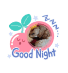 アメリカンコッカー☆（個別スタンプ：11）