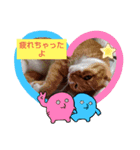 たまにはいいでしょ（個別スタンプ：2）